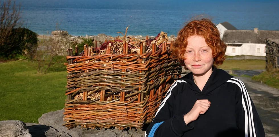 Oileánach óg in aice le cliabh fite in Inis Oírr, an fharraige taobh thiar